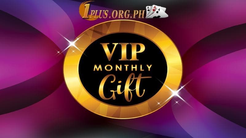 exclusive vip 1plus casino 08